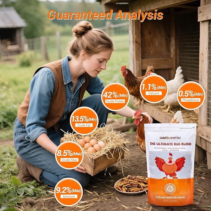 Dried Insect Trail Mix for Chickens - High Protein 42% & Calcium 1.1% for Egg Laying - Natural Treat for Birds, Reptiles, Ducks, Hedgehogs - 1 Lbs Resealable Bag