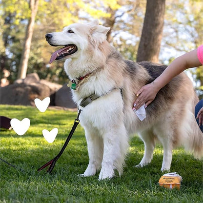 earthbath, Oatmeal & Aloe Grooming Wipes - Dog Wipes for Paws and Butt, Best Pet Wipes for Dogs & Cats, Helps Relieve Itchy & Dry Skin, Made in USA, Cruelty-Free - Vanilla & Almond 100 Count (1 Pack)