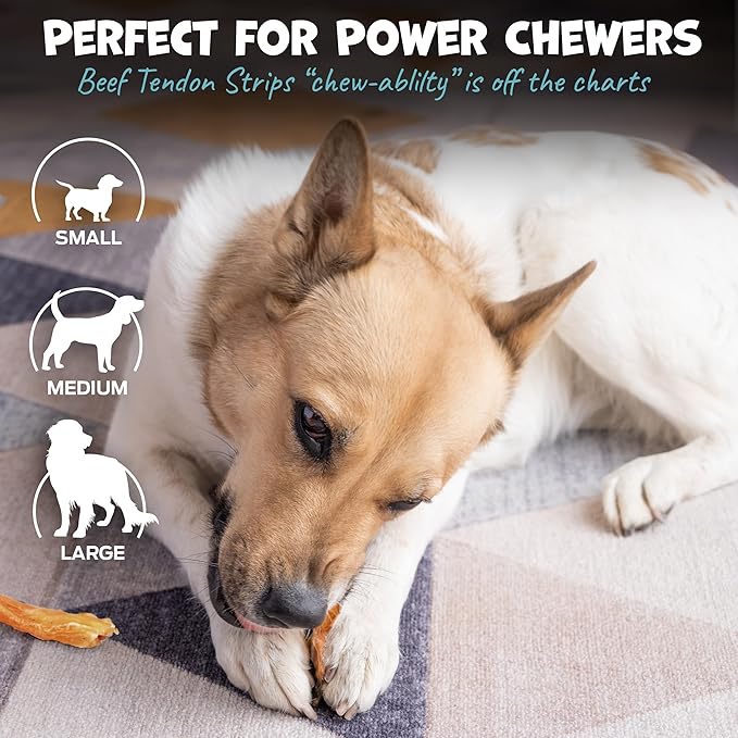 Beef Tendons for Large Dogs & Medium Breeds - Digestible Chews & Dog Treats for Large Dogs - Single Ingredient Dog Chew Sticks - 7-10" (12ct)