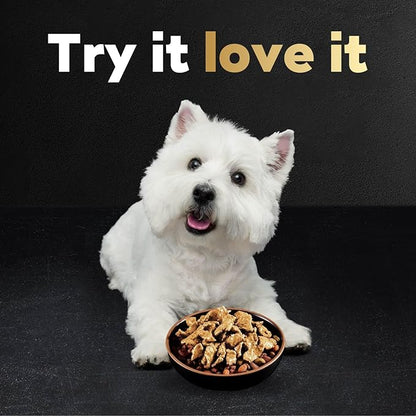 Cesar Filets in Gravy Wet Dog Food Rotisserie Chicken Flavor, 1.76 oz. Mini-Pouch, 20 Pack