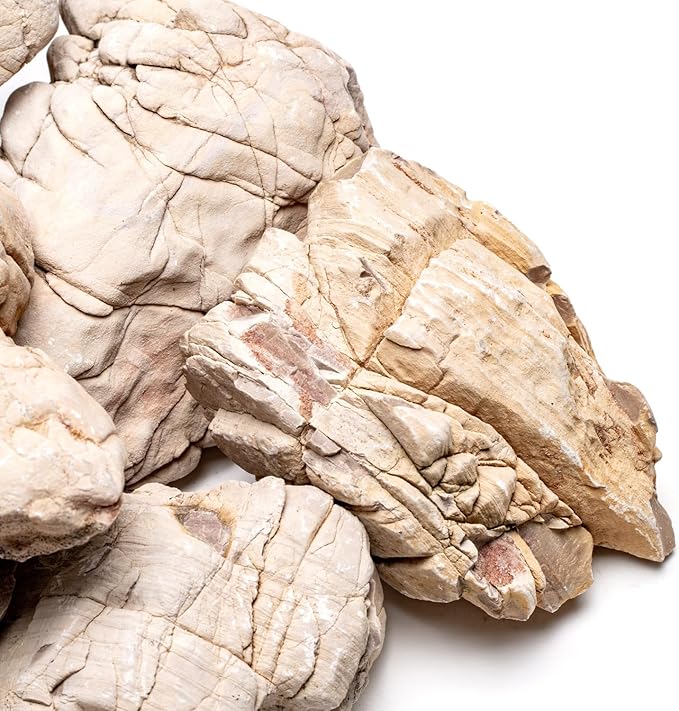 SubstrateSource Natural Stone for Aquarium, Terrarium, Paludarium, Reptile Enclosures - Set of Decorative Rocks for Landcapes, Aquascaping, Fish Tank Decor (White Elephant Skin Stone, 30 Pounds, 2-8")