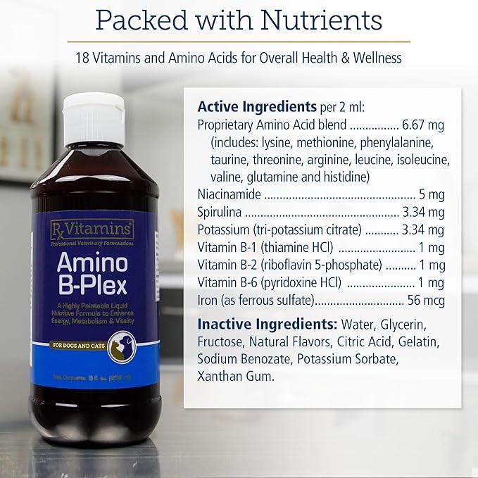 Rx Vitamins Amino B-Plex Cat & Dog Supplement - Vitamin B Complex Liquid Plus Amino Acids for Dogs & Cats - Appetite Booster and Cat & Dog Weight Gainer - Supplements & Vitamins - 8 oz