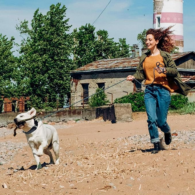 Rttochfy Martingale Dog Collars, Adjustable Nylon Dog Collar with Quick Release Buckle, No Choke Dog Training Collar for Small Medium Large Dogs (Blue, S)