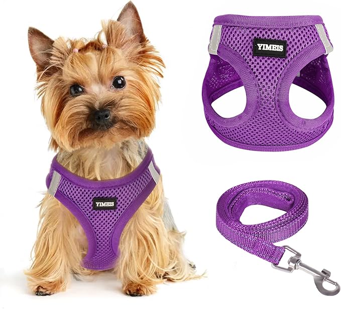 Dog Harness for Small Dogs, Small Dog Harness and Leash Set, Honeycomb Grid, Reflective Lightweight Harness & Anti-Twist Pet Lead,Dog Harness(Multi Color, Size: XS-S-M) (XS, Purple)