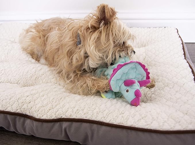 goDog Dinos Frills Squeaky Plush Dog Toy, Chew Guard Technology - Teal, Small