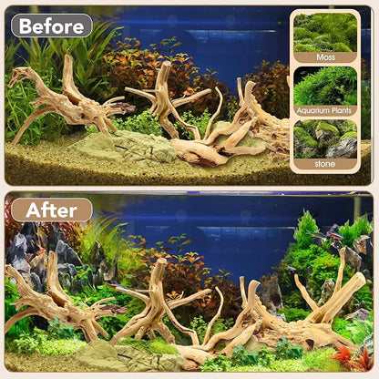 Natural Small Spiderwood Driftwood for Aquarium Decor Rptile Fish Tank Decoration Assort Branch 4-7'' 8 Pcs