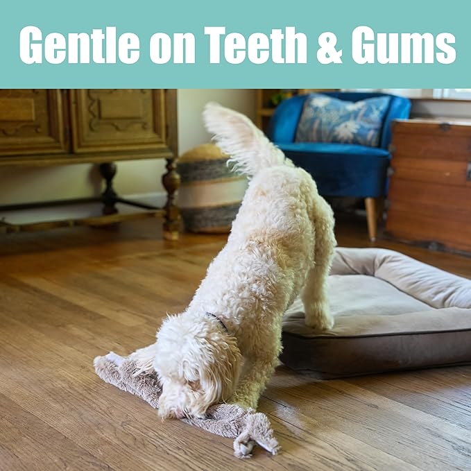 SPOT Skinneeez Rabbit 22 Inch Stuffing-Free Plush Dog Toy with Dual Squeakers – Long Interactive Chew Toy for Medium and Large Dogs – Mess-Free Play for Light & Moderate Chewers