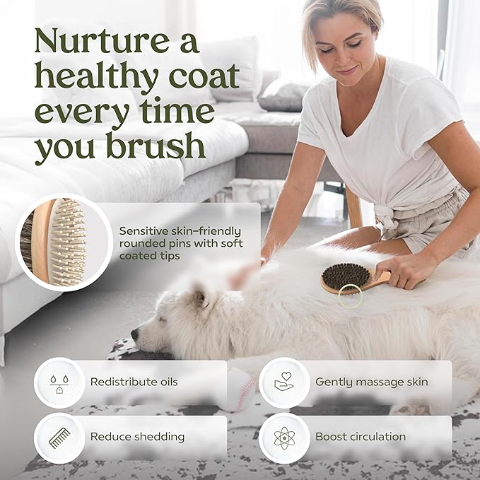 PAWFUME 2-in-1 Pet Brush  Dog Hair Brush  Cat Hair Brush  Dog Grooming Brush  Cat Grooming Brush  Soft Dog Brush for Long Haired Dogs  Soft Cat Brush for Long Haired Cats  Short Hair Dog Brush
