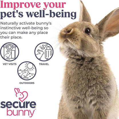 SecureBunny Adventure, Water Based Pheromone Cream for Outdoor Stress Management, Helping Relieve Any Feeling of Anxiety and Stress