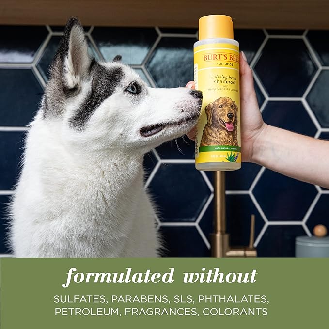 Burt's Bees for Pets Calming Dog Shampoo With Hemp Seed Oil and Lavender - 95% Natural Origin Formula, Gentle and Best for Dogs, 16 oz