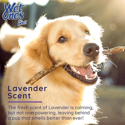 Wet Ones for Pets Antibacterial Calming Wipes with Chamomile, 30ct, Calming Lavender Scent | Dog Cleaning Wipes, Durable Disposable Dog Wipes for Paws, Scented Dog Wipes