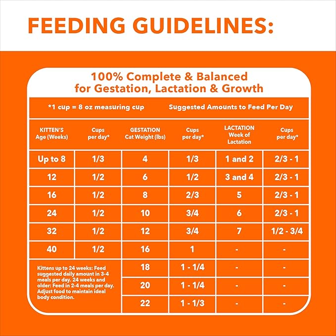 IAMS Proactive Health Healthy Kitten Dry Cat Food with Chicken, 3.5 lb. Bag