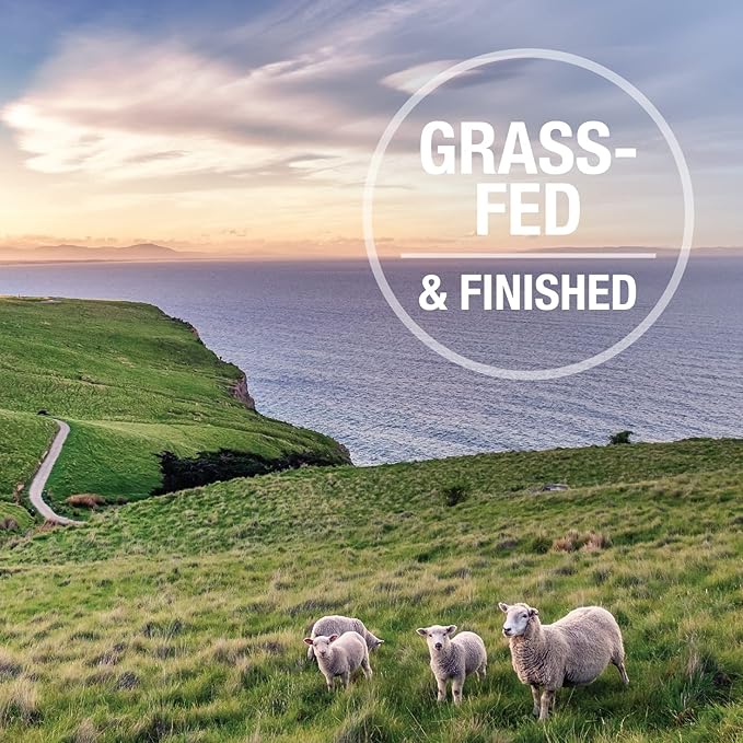 K9 Natural - Grain Free Freeze Dried Dog Food - Lamb & Salmon, 1.1lb