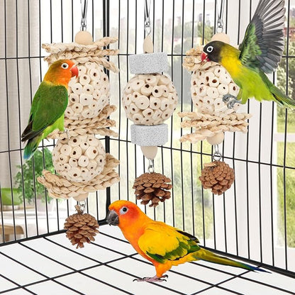 Wontee Bird Toys 3 Pack Parrot Foraging Hanging Toys Sola Ball Natural Nuts Chew Toys for Cockatiels Conures Parakeets Budgies Senegal (3 Pack)