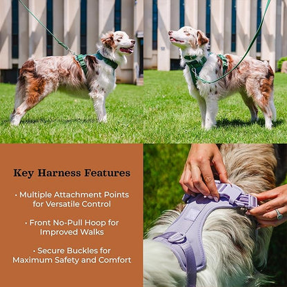 Dog Harness and Leash Set | BearBone No Pull Dog Harness and Waterproof Dog Collar and Leash Set | Heavy Duty Dog Harness, Leash and Collar | Leash, Collar and Harness Large Size Dog (Brown, Large)