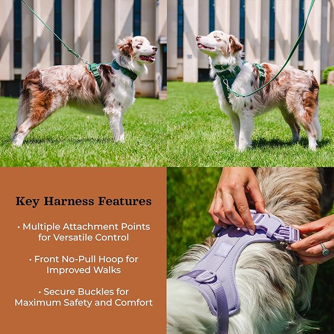Dog Harness and Leash Set | BearBone No Pull Dog Harness and Waterproof Dog Collar and Leash Set | Heavy Duty Dog Harness, Leash and Collar | Medium Dog Harness, Leash and Collar (Brown, Medium)