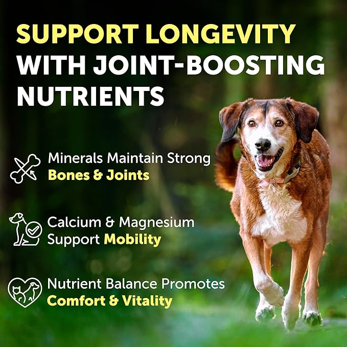 Nature's Protection Hip and Joint Supplement for Dogs - Senior Dog Mineral Supplement Powder for Bone Strength, Energy Boost, and Gut Health for Dogs & Cats of All Breeds, 9 Oz