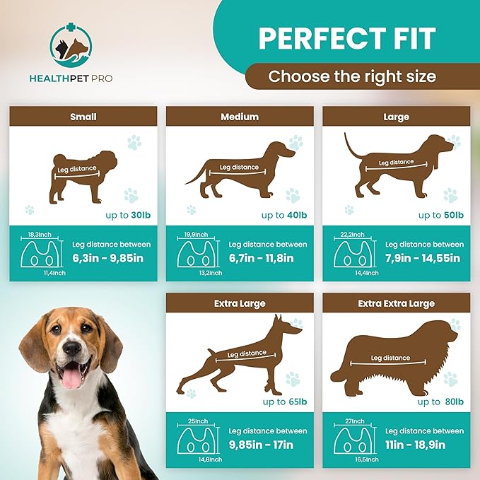 Dog Grooming Hammock for Large Dogs Including Dog Accessories Including Dog Nail Clippers, Dematting Comb, Nail File and Scissor - Dog and Cat Hammock for Grooming - Dog Sling (Small)