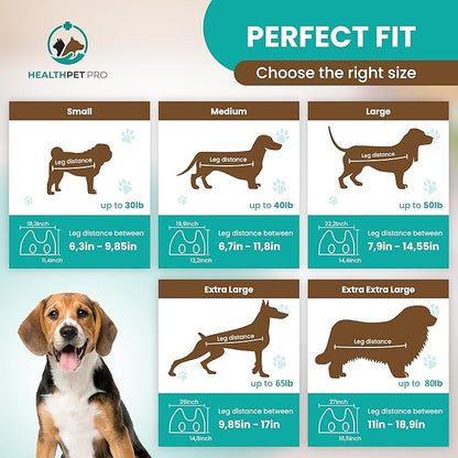 Dog Grooming Hammock for Large Dogs Including Dog Accessories Including Dog Nail Clippers, Dematting Comb, Nail File and Scissor - Dog and Cat Hammock for Grooming - Dog Sling (Small)