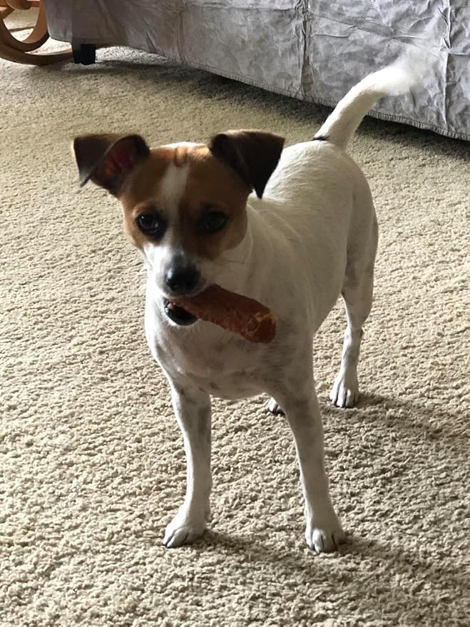 DOGCHEWZ™ Rawhide Free Basted Roll Chicken Wrapped Dog Chew Treats | Size 5 Inch (8 Count/Bag) - Gluten Free