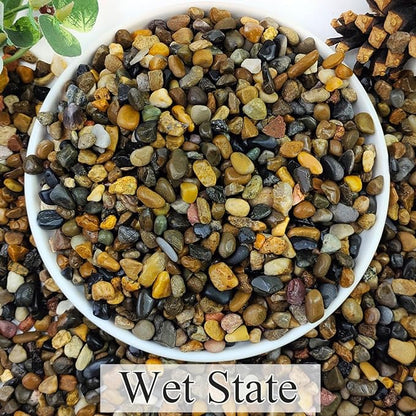 2lbs Natural River Rocks, 1/4" Aquarium Gravel Succulent Cactus Pea Gravel for Plants, Fish Tank, Decorative Pebbles for Gardening, Flower Pots, Vase Fillers, Indoor Water Fountains, Landscaping