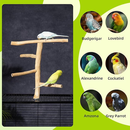 Natural Wood Bird Perch & Play Stand for Parakeets/Cockatiels - Multi-Level Cage Accessory with Training Branch