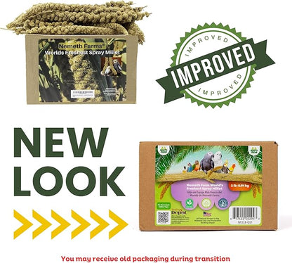 Nemeth Farms–Natural Sun Dried Millet Spray for Pet Birds–Bulk Parrot Seed Treats and Parrot Food–Natural Non GMO Millet Spray–Cockatiels Lovebirds Parakeet 2 lbs.