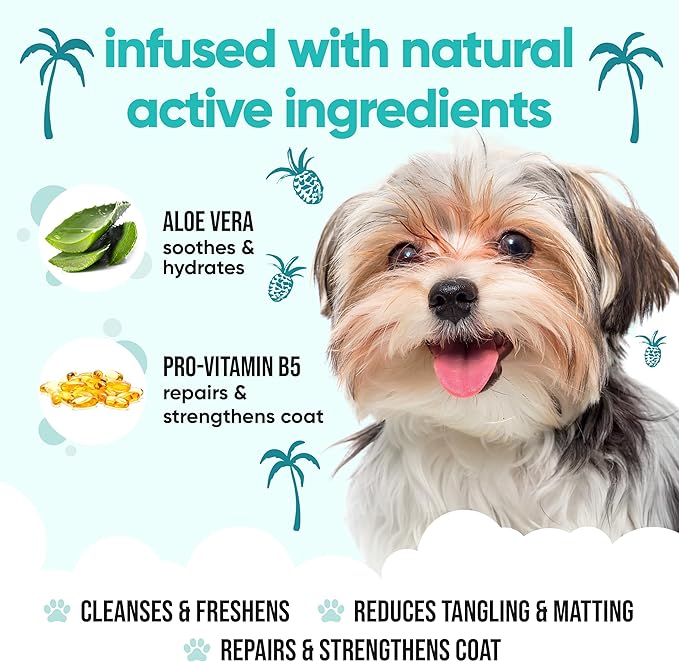 Tropical Dog Shampoo by Buddycare | Dry Skin & Itchy Skin Relief for Smelly Dogs | Deep Cleansing Shampoo for Dogs Puppy Sensitive Skin | Dog Shampoo & Conditioner | with Aloe & Vitamin B5 (16.90oz)