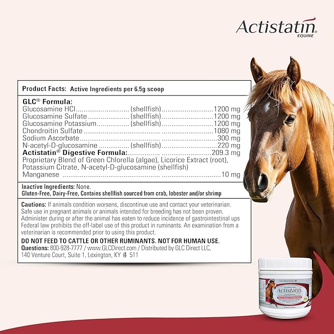 Actistatin Equine Powder - Horse Joint Supplement with Glucosamine & Chondroitin for Healthy Joints & Bones - Clinically Proven Cartilage & Soft Tissue Support for Horses - 39.65 oz - 90 Day Supply