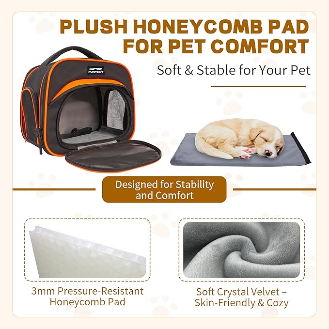 Cat Carrier Backpack, Breathable Collapsible Pet Bag with Safety Leash for Guinea, Kitten, Rabbit Weighing up to 8 Pounds Designed for Travel, Hiking, Walking and Outdoor Use, Black-Orange