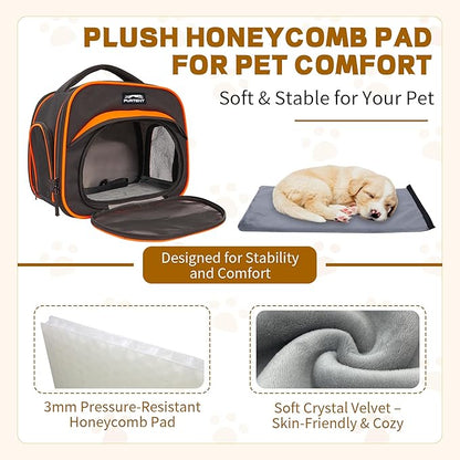 Cat Carrier Backpack, Breathable Collapsible Pet Bag with Safety Leash for Guinea, Kitten, Rabbit Weighing up to 8 Pounds Designed for Travel, Hiking, Walking and Outdoor Use, Black-Orange