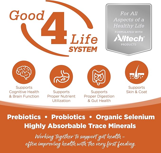 NutriSource Element Series Outback Trails Dry Dog Food, Lamb, Kangaroo and Wild Board, 4LB