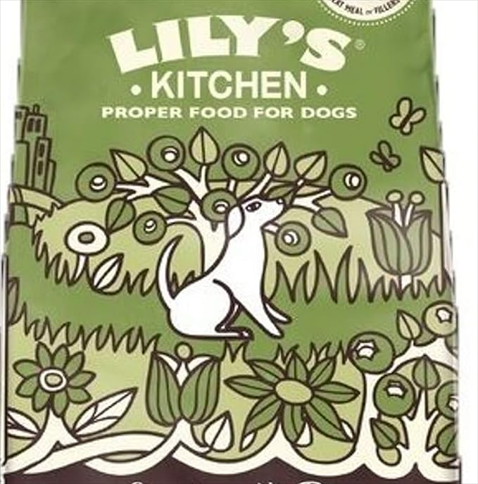 Lily's Kitchen Dog Food Grain Free Lamb 1Kg