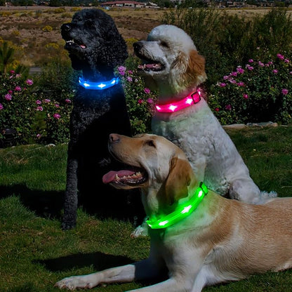 BSEEN Light Up Dog Collars - Glowing LED Dog Collar, Reflective Puppy Collar, Adjustable Lighted Dog Collar, Rechargeable Pet Collar for Night Walking (Blue-II, Small)