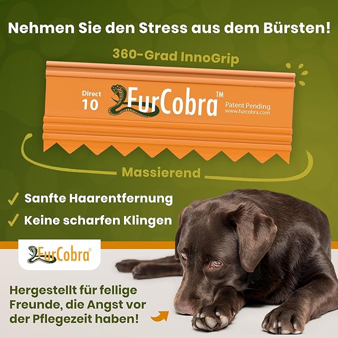 Direct 10 Pet Grooming Brush 3.54" - Gentle, No Metal Blades, Soft Dog, Cat Brush - Train Pets to be Brushed - Portable, Easy To Use Slicker Pet Grooming Tool for Dog, Cat, Puppy, Kitten Hair