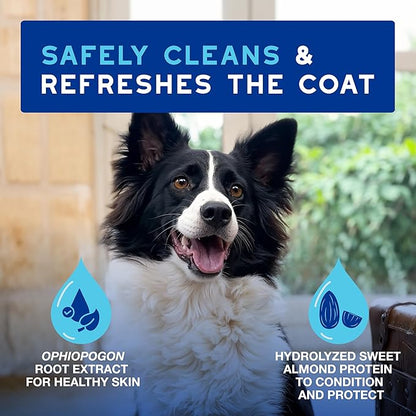 DOUXO® Skin & Coat SPA - Ultra-Safe Quick Refresh Leave-on Mousse for Dogs, 10 fl oz, Safely Cleans and Refreshes The Coat, Leaves The Coat Soft, Radiant and Smelling Great, Skin-Friendly Formula