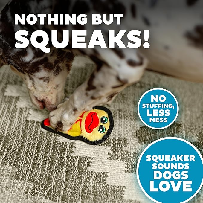 Outward Hound Durablez Minis Stuffing-Free Squeaky Plush Dog Toy for Puppies & Small Dogs - Interactive, Soft Yet Tough, No Mess, Jumbo Squeaker, Long-Lasting Play, Duck