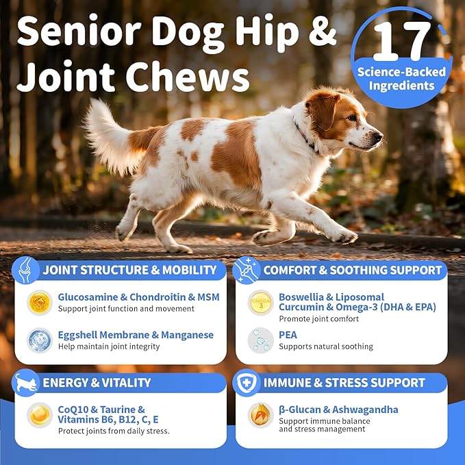 Senior Dog Joint Supplement, 17-in-1 Glucosamine for Dogs with Chondroitin, MSM, Pea, CoQ10, Omega-3, Hip and Joint Chews for Dogs – Chicken Flavor – 90 Soft Chews – for All Breeds & Sizes