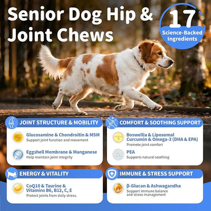 Senior Dog Joint Supplement, 17-in-1 Glucosamine for Dogs with Chondroitin, MSM, Pea, CoQ10, Omega-3, Hip and Joint Chews for Dogs – Beef Flavor – 90 Soft Chews – for All Breeds & Sizes