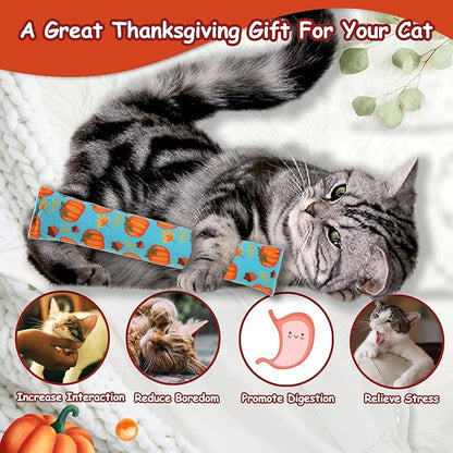 KOOLTAIL Cat Catnip Toys for Thanksgiving, 3 Pack Durable Soft Kicker Toy Filled with Natural Catnip, Interactive Bite Resistant Chew Teeth Cleaning Gift for Indoor Cats Kitten