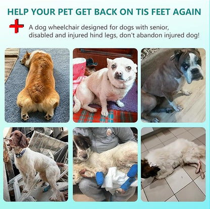 Updated Dog Wheelchair for Back Legs, Small Dog Wheelchair Carts with Wheels, Light Weight Wheelchair for Leg Support Helps Senior, Injured, Paralyzed (S&M)