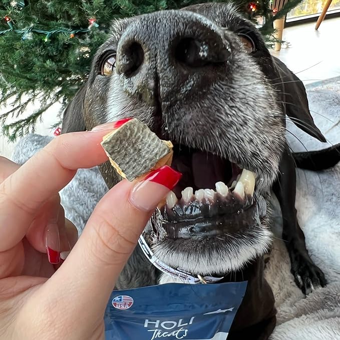 HOLI Freeze Dried Salmon Dog Treats - with Omega 3 and 6 Fish Oil - All Natural Dog Treats - Human Grade - Wild Caught Salmon - Made in USA - Grain Free - Diabetic Friendly