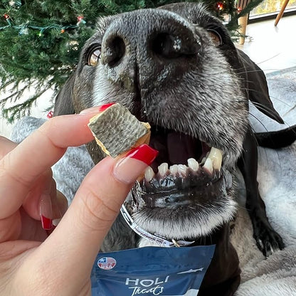 HOLI Freeze Dried Salmon Dog Treats - with Omega 3 and 6 Fish Oil - All Natural Dog Treats - Human Grade - Wild Caught Salmon - Made in USA - Grain Free - Diabetic Friendly