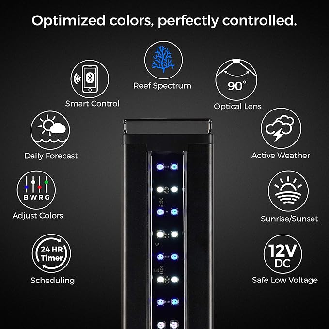 CURRENT USA 48-60" Inch Orbit Marine IC Loop LED Saltwater Reef Marine Aquarium Light with Bluetooth App Control | Wireless Lighting & eFlux Wave Pump Control for Fish Tank (4207)