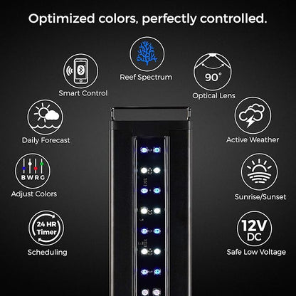 CURRENT USA 48-60" Inch Orbit Marine IC Loop LED Saltwater Reef Marine Aquarium Light with Bluetooth App Control | Wireless Lighting & eFlux Wave Pump Control for Fish Tank (4207)