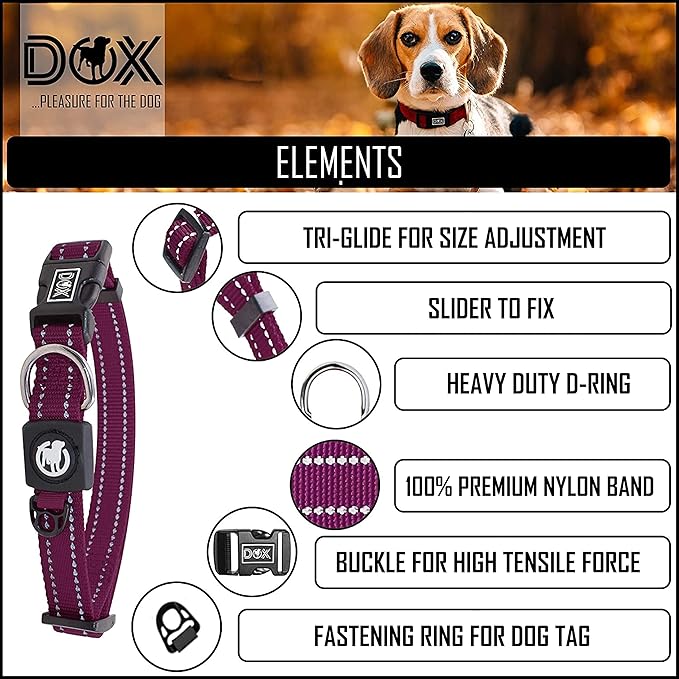 DDOXX Nylon Dog Collar - Reflective & Adjustable - for Dogs Large & Small - Collar for Dogs, Cats & Puppies - Large Wide Dog Collars/Cat Collars/Puppy Collars - Dog Accessories - Purple, M