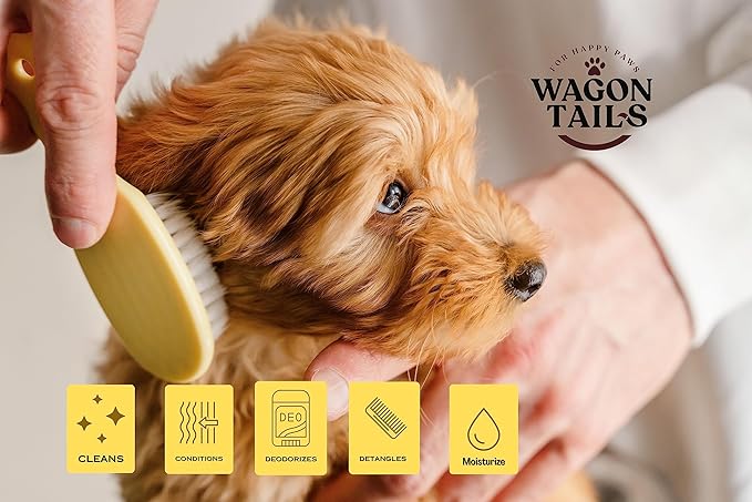 5-in-1 Dog Shampoo and Conditioner | 16 Oz | All Natural, Eco-Friendly Dog Itch Relief Formula | Moisturize/Replenish with Coconut and Palm | Paraben/Sulfate Free with Aloe and Oatmeal