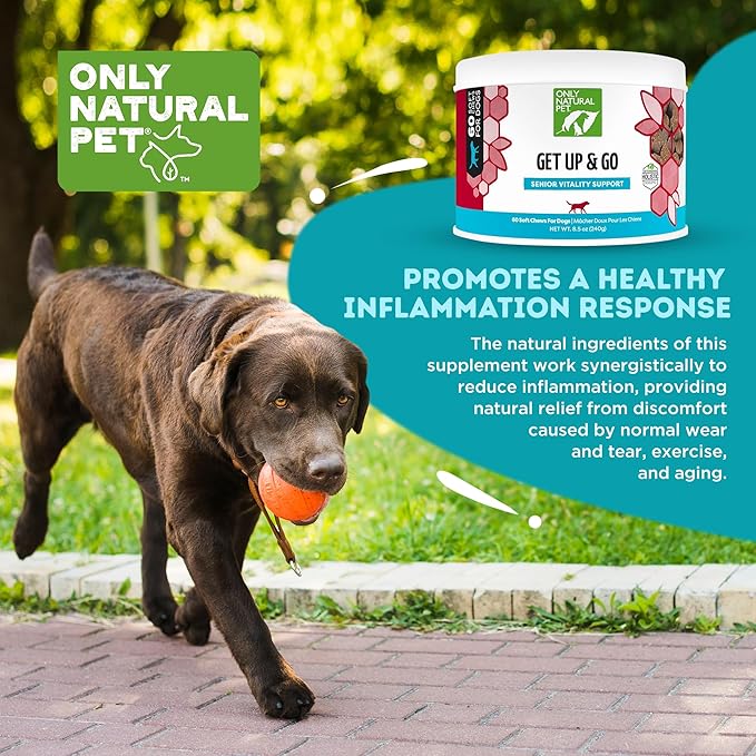 Only Natural Pet Get Up & Go Herbal Joint Support Supplement for Dogs - Holistically Formulated with Corydalis & Turmeric Hip & Joint Daily Vitamin for Senior Dog - Bacon Flavor - 60 Soft Chews