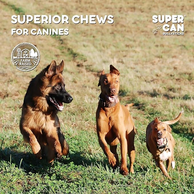 Super Can Pig Ears Slivers for Dogs 1LB - All Natural Dog Chews - Long Lasting Treats Small Medium Large Dogs - Rawhide Free & High Protein - Low Fat, Odor Free, Grain Free - Supports Dental Health