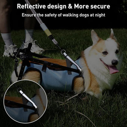 Dog Wheelchair for Back Legs, Dog Wheelchair Cart Doggy Wheelchair with Disabled Hind Legs Walking Mobility Aids for Small Pets Hind Limbs Dog Carts with Wheels Light Weight